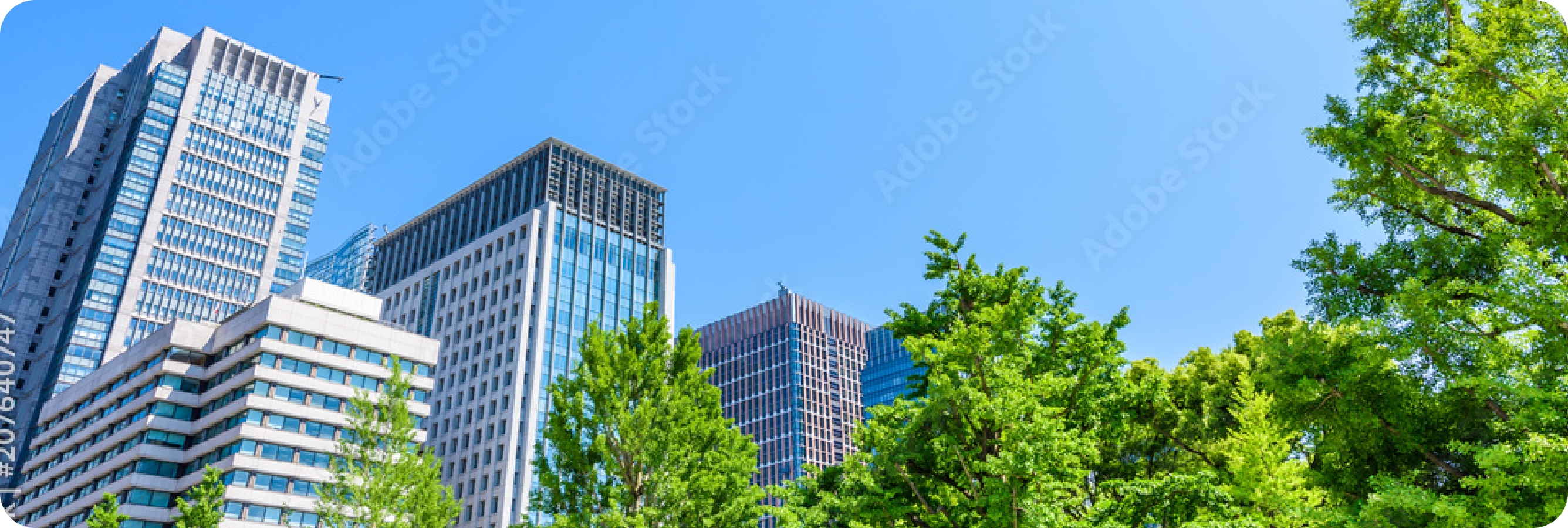 バンゲラズグループイメージ