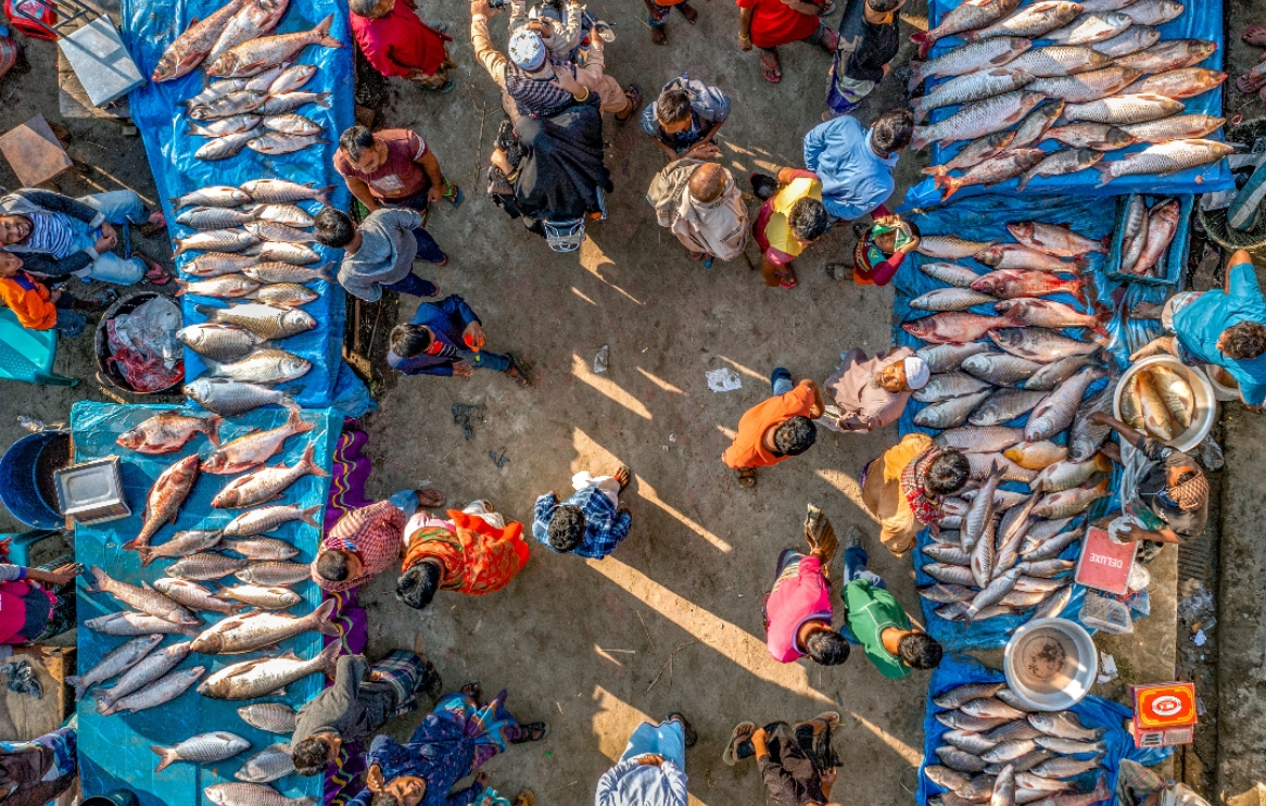 新鮮なシーフード