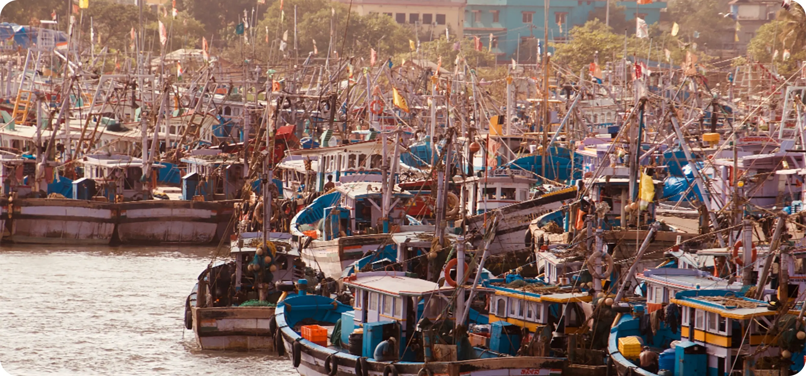 バンゲラズグループイメージ